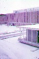 Wright State University WSU